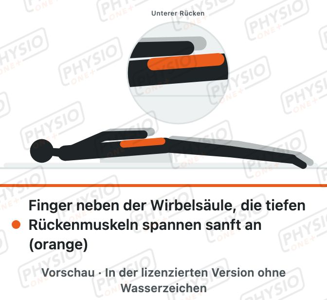 Vorschau: Tiefe Rückenmuskeln anspannen in Bauchlage