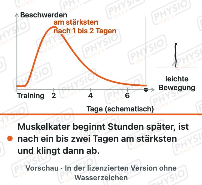 Vorschau: Muskelkater