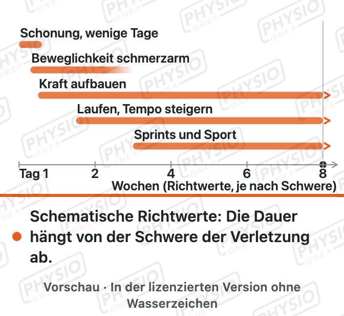 Vorschau: Belastungsaufbau nach Muskelverletzung