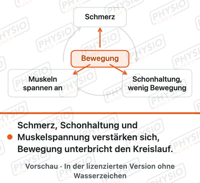 Vorschau: Muskelverspannung im unteren Rücken