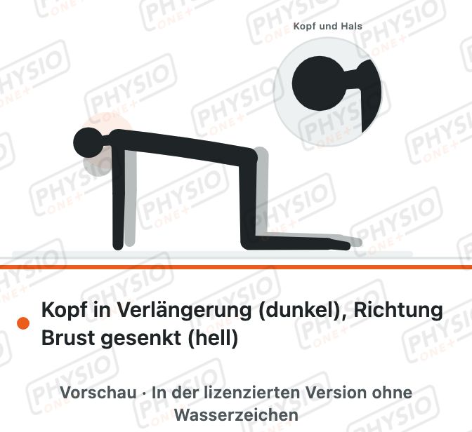 Vorschau: Nackenstrecker im Vierfüßlerstand