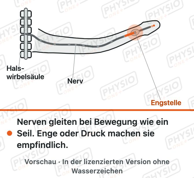 Vorschau: Nerven brauchen Platz und Bewegung