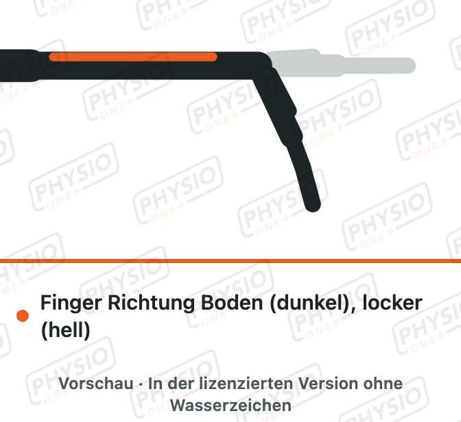 Vorschau: Nervengleiten für den Arm