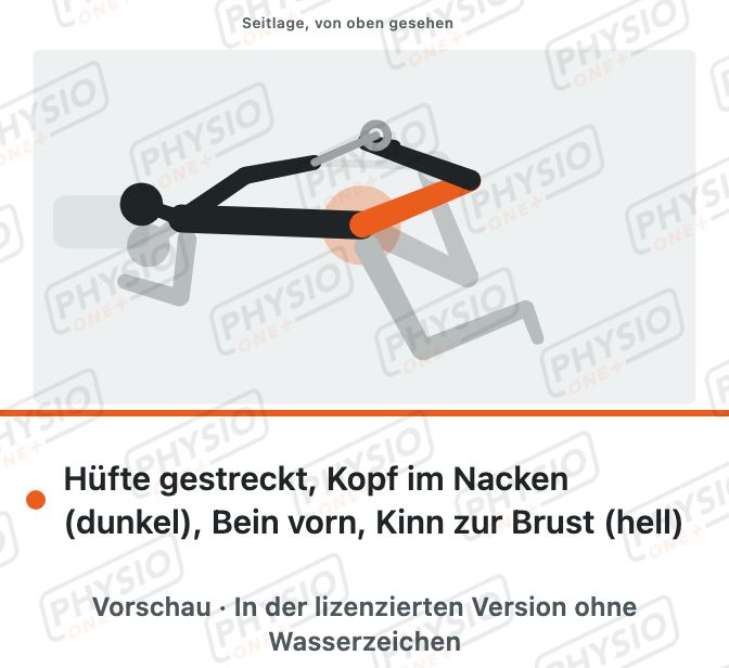 Vorschau: Nervengleiten für den Oberschenkelnerv