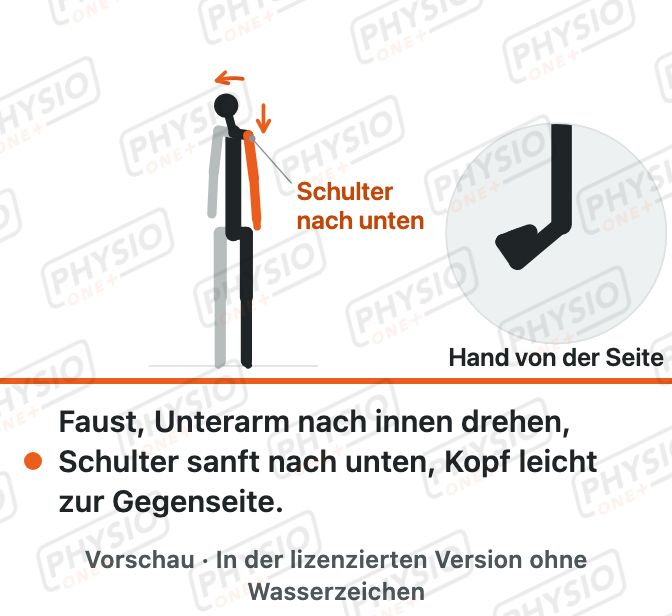 Vorschau: Nervengleiten für den Speichennerv