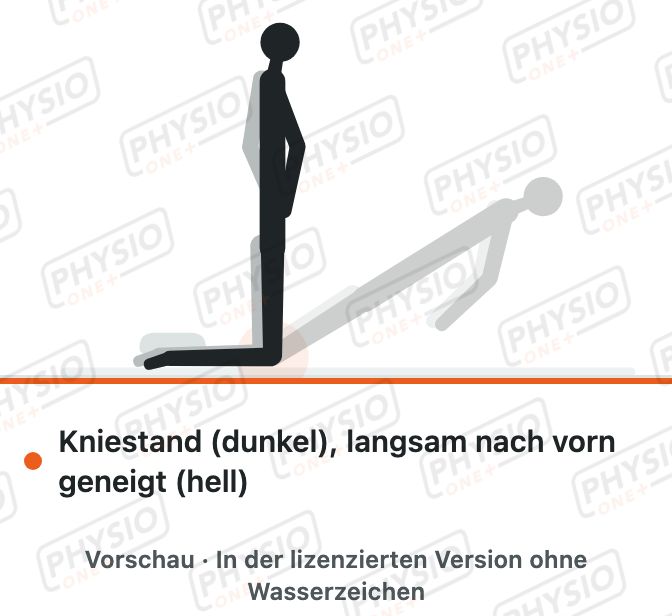 Vorschau: Langsames Vorneigen aus dem Kniestand (Nordic Hamstring)