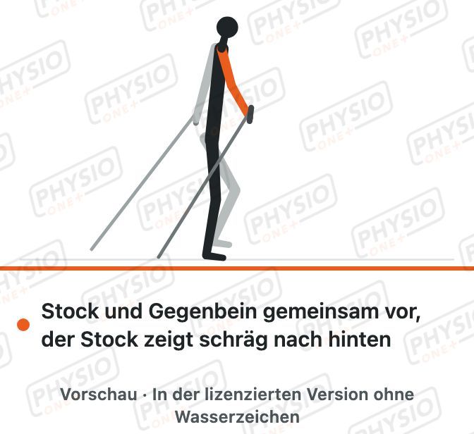 Vorschau: Gehen mit Stöcken