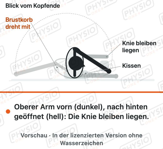Vorschau: Offenes Buch in Seitlage