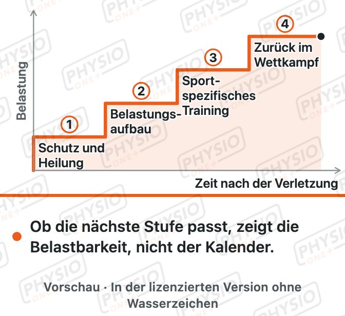 Vorschau: Phasen der Rückkehr zum Sport