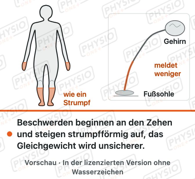 Vorschau: Polyneuropathie
