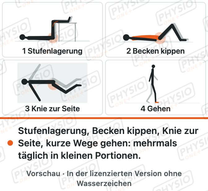 Vorschau: Programm bei akutem Rückenschmerz