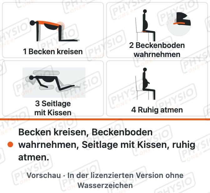 Vorschau: Programm in der Schwangerschaft