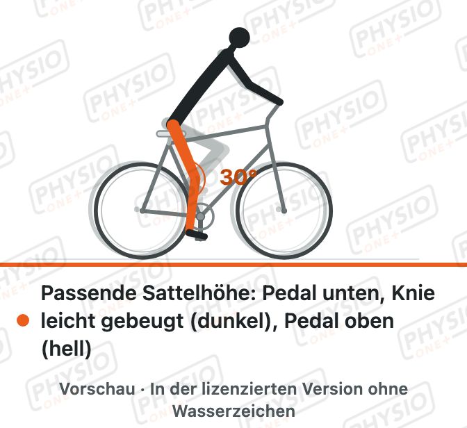 Vorschau: Radfahren: Sitzhöhe und Haltung