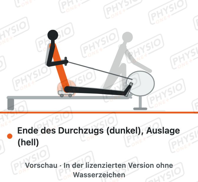 Vorschau: Rudern: Rücken beim Durchzug