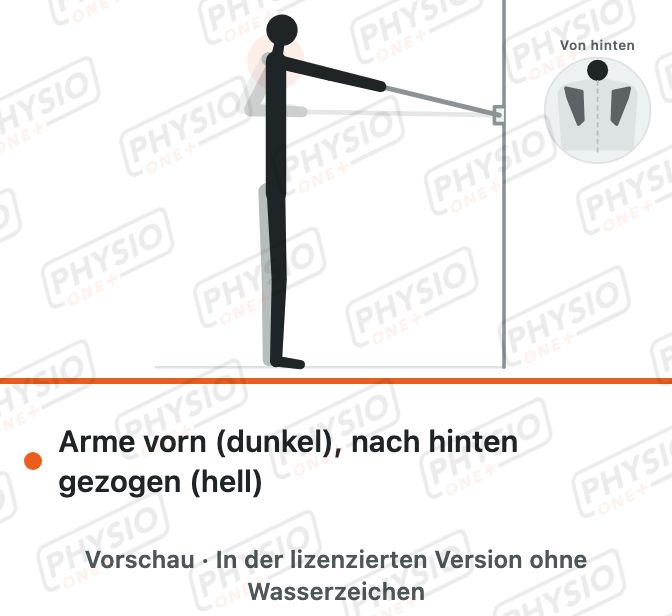 Vorschau: Rudern mit Übungsband