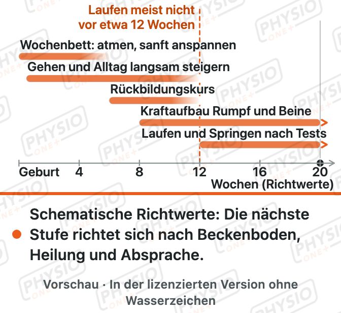 Vorschau: Rückbildung: Belastungsaufbau bis zum Sport