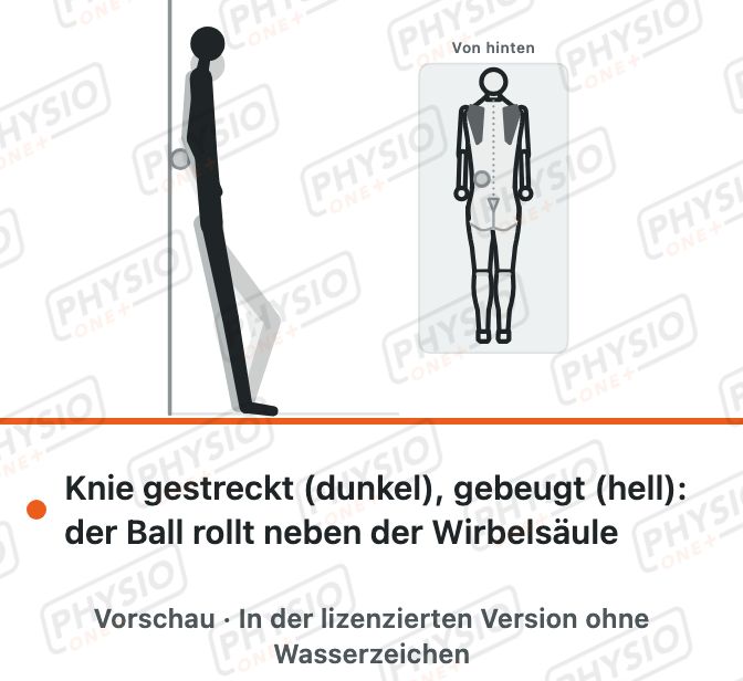 Vorschau: Selbstmassage des Rückens mit Ball an der Wand