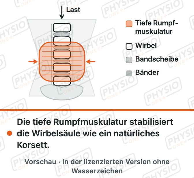 Vorschau: Tiefe Rumpfmuskulatur als Korsett