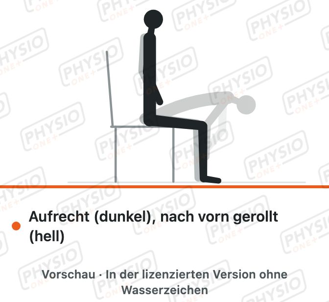 Vorschau: Rumpfbeuge im Sitz
