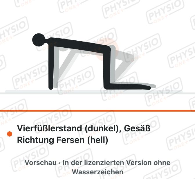 Vorschau: Schaukeln im Vierfüßlerstand