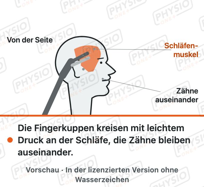 Vorschau: Schläfenmuskel-Selbstmassage