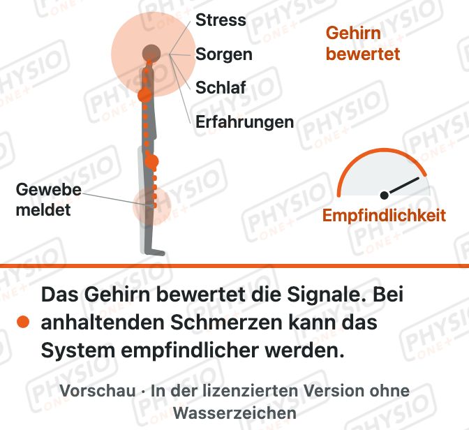 Vorschau: Schmerz verstehen
