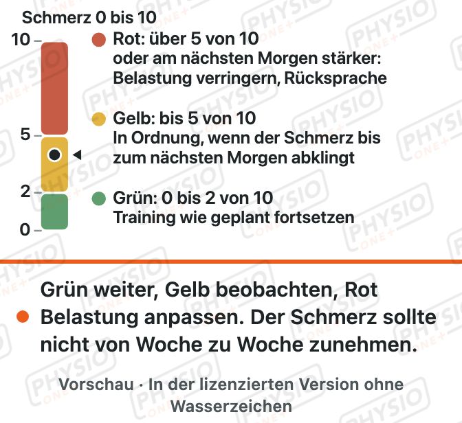 Vorschau: Schmerz und Belastung als Ampel