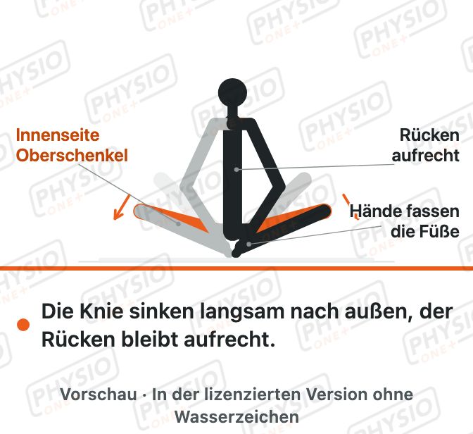 Vorschau: Adduktoren-Dehnung im Schmetterlingssitz