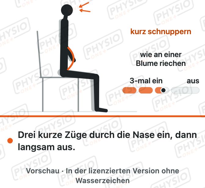 Vorschau: Schnüffelnde Einatmung
