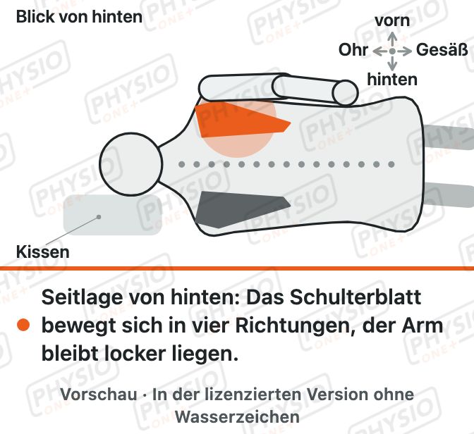 Vorschau: Schulterblatt bewegen in Seitlage