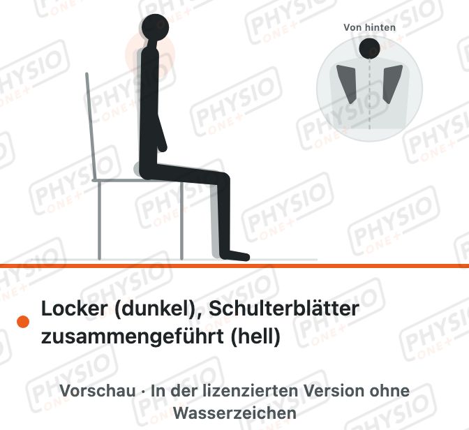 Vorschau: Schulterblätter zusammenführen im Sitz