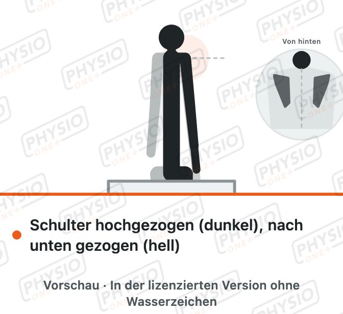 Vorschau: Schulterblatt nach unten ziehen im Sitz