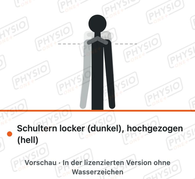 Vorschau: Schultern hochziehen und sinken lassen