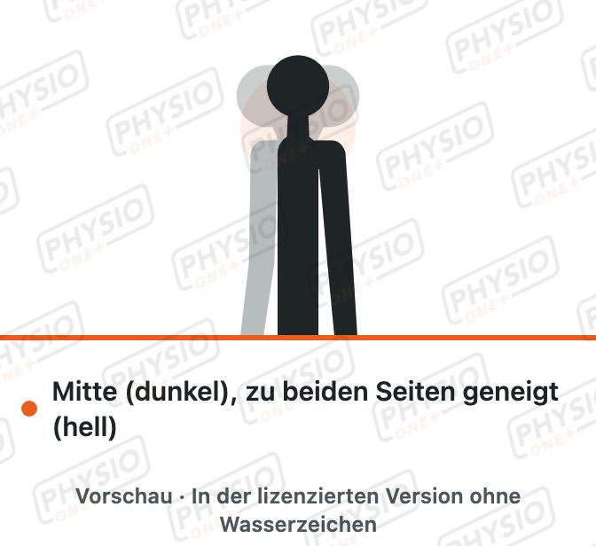 Vorschau: Seitneigung des Kopfes