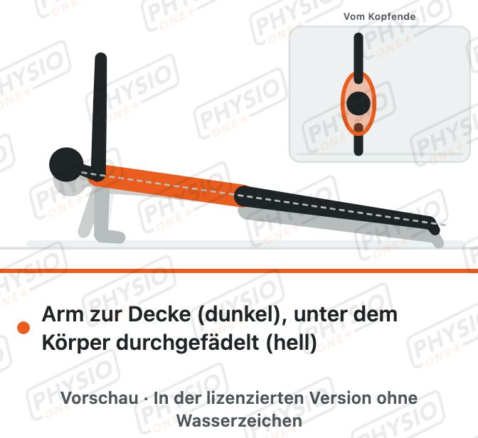 Vorschau: Seitstütz mit Rumpfdrehung