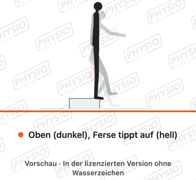 Vorschau: Kontrolliertes Absteigen von der Stufe