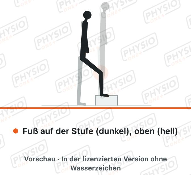 Vorschau: Aufsteigen auf eine Stufe