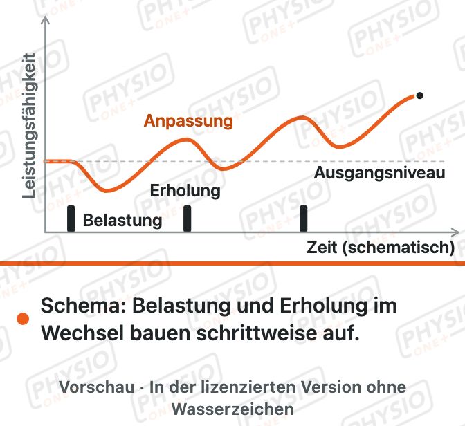 Vorschau: Belastung und Erholung im Training (Superkompensation)