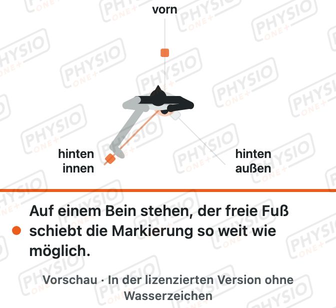 Vorschau: Test: Balance in drei Richtungen