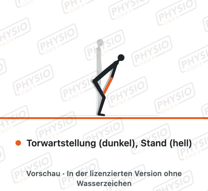Vorschau: Torwartstellung