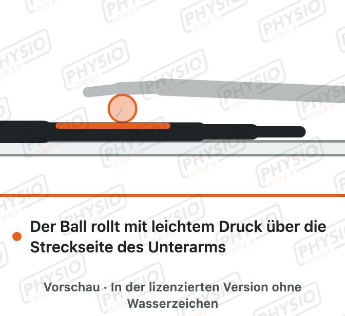 Vorschau: Unterarm mit dem Ball ausrollen
