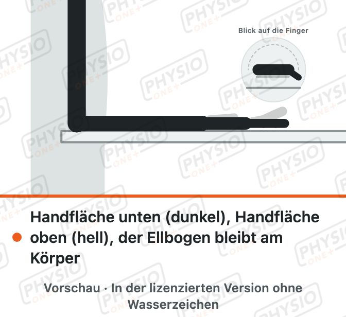 Vorschau: Unterarm drehen am Tisch