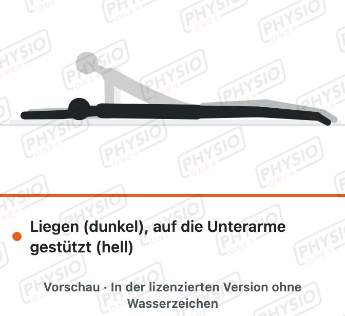 Vorschau: Unterarmstütz in Bauchlage (Sphinx)