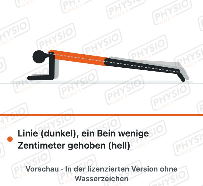Vorschau: Unterarmstütz mit Beinheben
