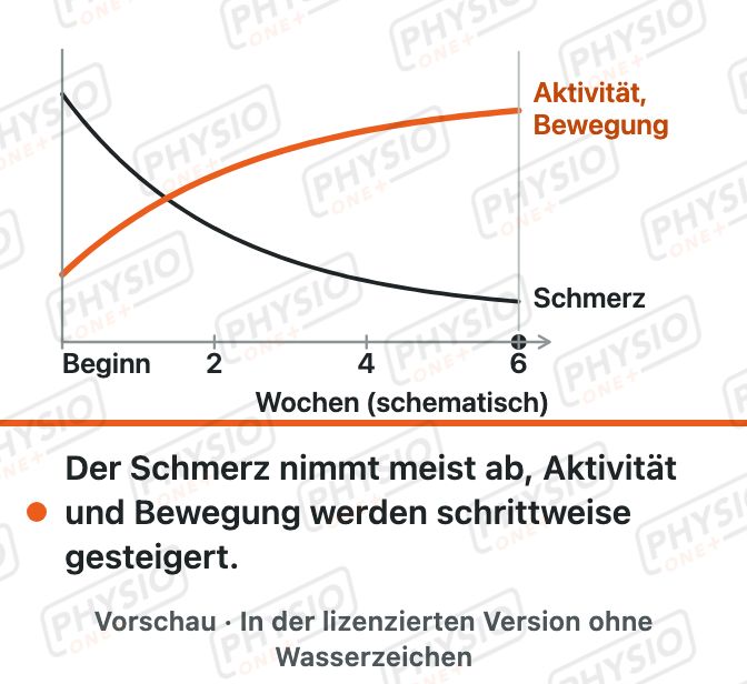 Vorschau: Akuter Kreuzschmerz: Verlauf und Aktivität