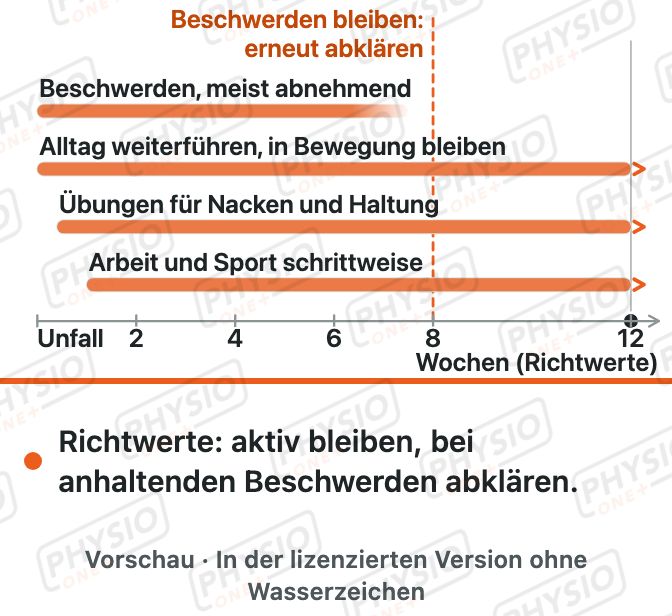 Vorschau: Nach einem Schleudertrauma: aktiv bleiben