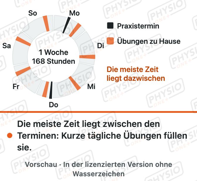 Vorschau: Warum Hausübungen so wichtig sind
