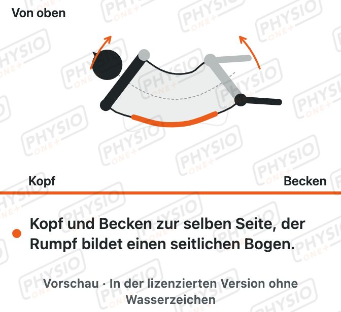 Vorschau: Seitliches Wedeln im Vierfüßlerstand