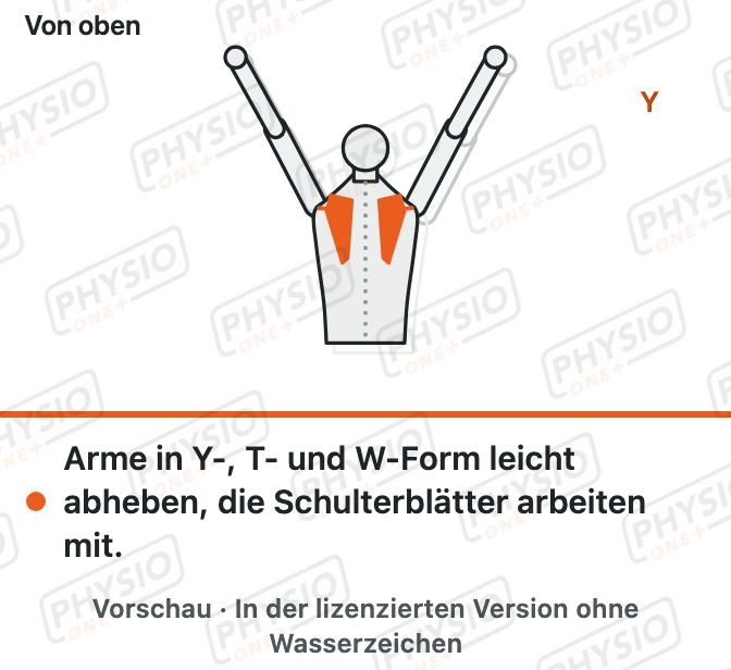 Vorschau: Y, T und W in Bauchlage