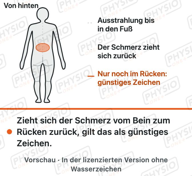 Vorschau: Wenn der Schmerz zur Mitte wandert